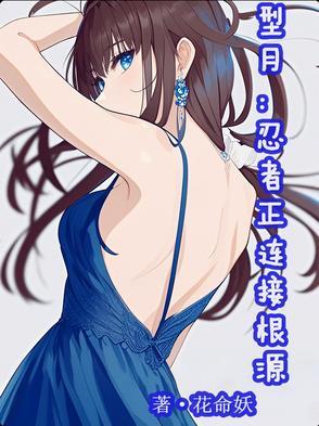 型月:忍者正连接根源 型月:忍者正连接根源