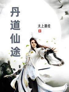 丹道仙途 丹道仙途